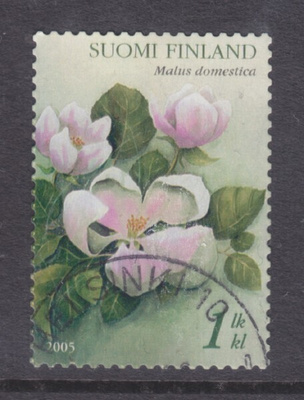 2005 omena kaunisleimaisena.
