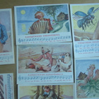 Satakunnan sananparsia – 9 postikorttia - pikkukuva 2