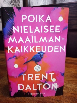 Dalton : Poika nielaisee maailmankaikkeuden ( SIS POSTIKULU