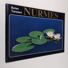 Reino Turunen : Nurmes - pikkukuva 1