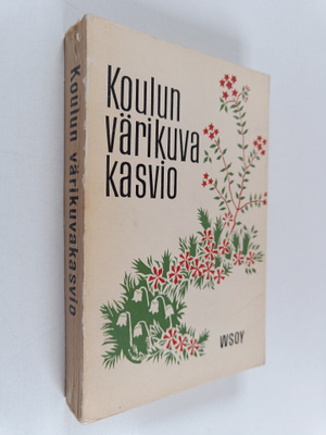Koulun värikuvakasvio
