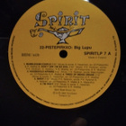 22-PISTEPIRKKO - BIG LUPU - pikkukuva 4