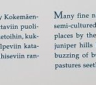 Seppo Keränen: Kokemäenjoki- River Kokemäenjoki - pikkukuva 2