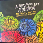 Alison Faith Lewis & Mushroom: Yesterday I Saw You… cd - pikkukuva 1