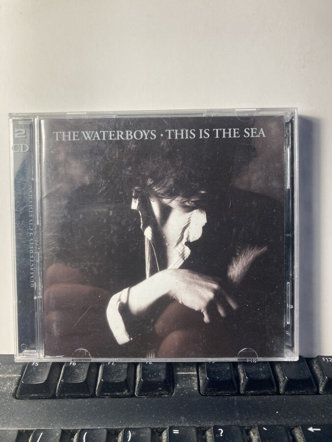 THE WATERBOYS: This Is The Sea, CD x 2, rem.