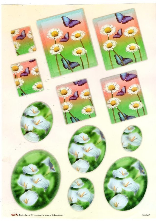 3D °°PÄIVÄNKAKKARAT & PERHONEN°° / TBZ Kimalle!!