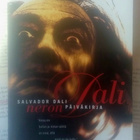 Salvador Dali - Neron päiväkirja (nid.) - pikkukuva 1