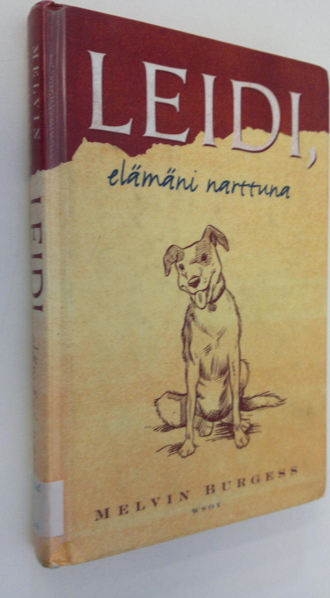 Melvin Burgess : Leidi : elämäni narttuna