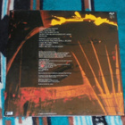 GREEDY PIG ~ Rye Rye Man ~ LP - pikkukuva 2