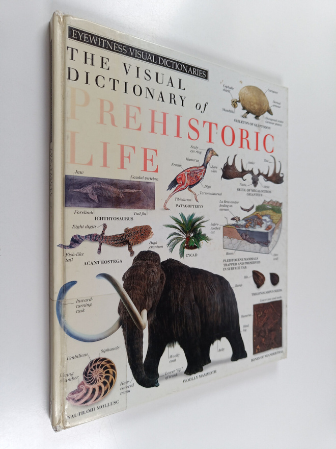 Edward Bunting : The visual dictionary of prehistoric life