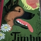 Lilli Koenig : Timba - pikkukuva 1