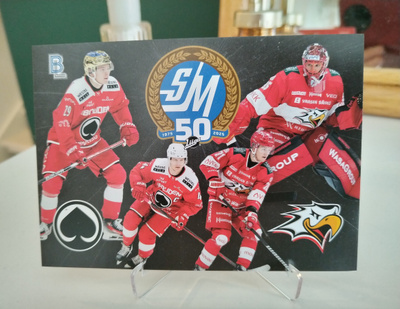 2024-2025 Blueline OVERSIZE CARD ÄSSÄT – SPORT 19.10.2024