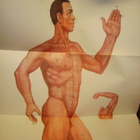 CHARTS OF ACUPUNCTURE - POINTS AND MERIDIANS ( SIS.PK ) - pikkukuva 4