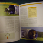 Theby: AGILITY - Alkeista huippusuorituksiin *Sis.postikulut - pikkukuva 3