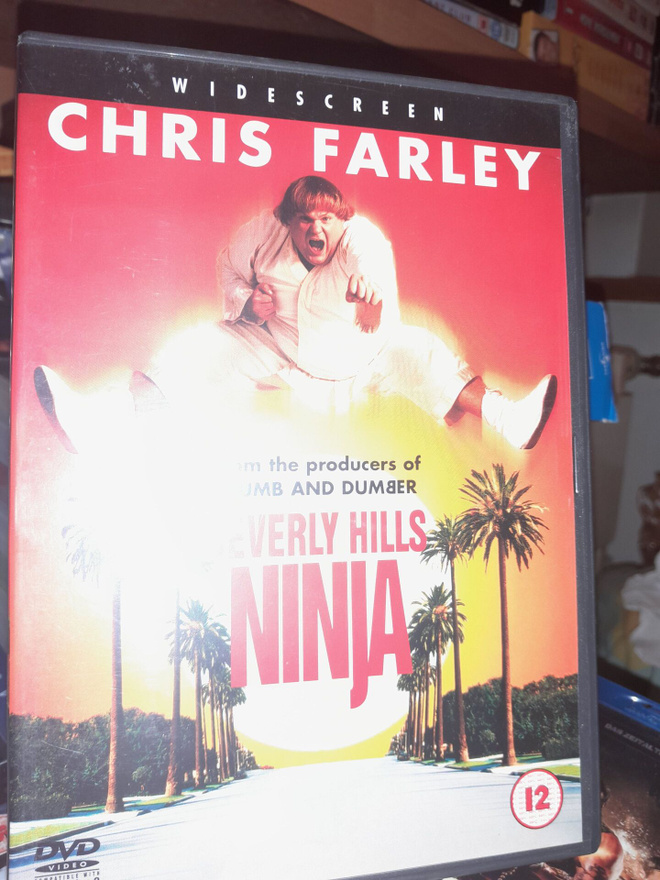 beverly hills ninja