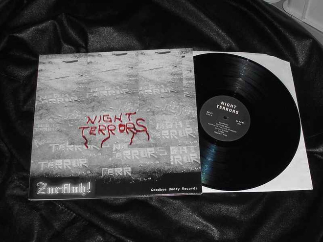NIGHT TERRORS zurfluh! LP **2004 G.B.21-500 tehty** USA pUnK