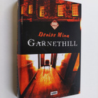 Denise Mina : Garnethill - pikkukuva 1