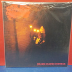 PERVERTED CEREMONY / WITCHCRAFT - NIGHERMANCIE M-/M-LP - pikkukuva 2