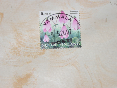 Vanamo 2004 Lape 1679 loisto