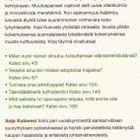 Anja Kulovesi: Unelma älykkäästä työyhteisöstä - pikkukuva 3