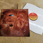 ANDREAS VOLLENWEIDER - Caverna Magica LP - pikkukuva 1
