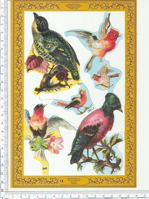 ~ MLP A 42, kaunis lintu-arkki ~