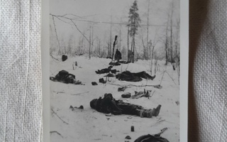 sotavalokuva kaatueita sotiaita