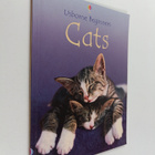 Anna Milbourne : Cats - pikkukuva 1