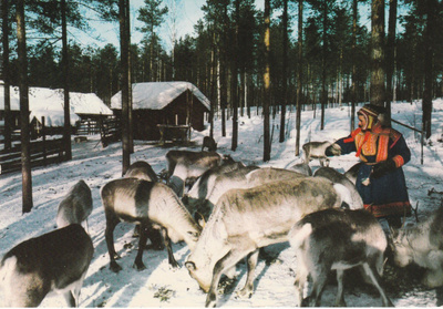 Postikortti, LAPPI, Napapiiri, porot