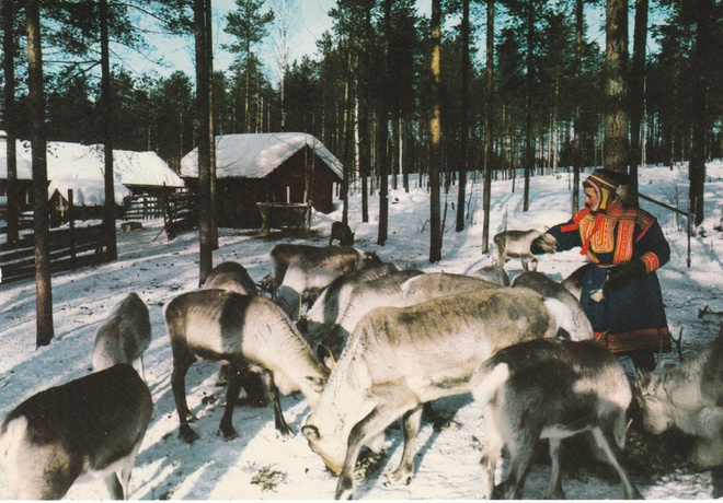 Postikortti, LAPPI, Napapiiri, porot