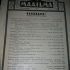 Maailma maaliskuu 1919 - pikkukuva 2