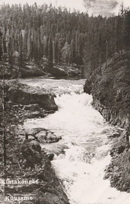 KUUSAMO - KINTAKÖNGÄS