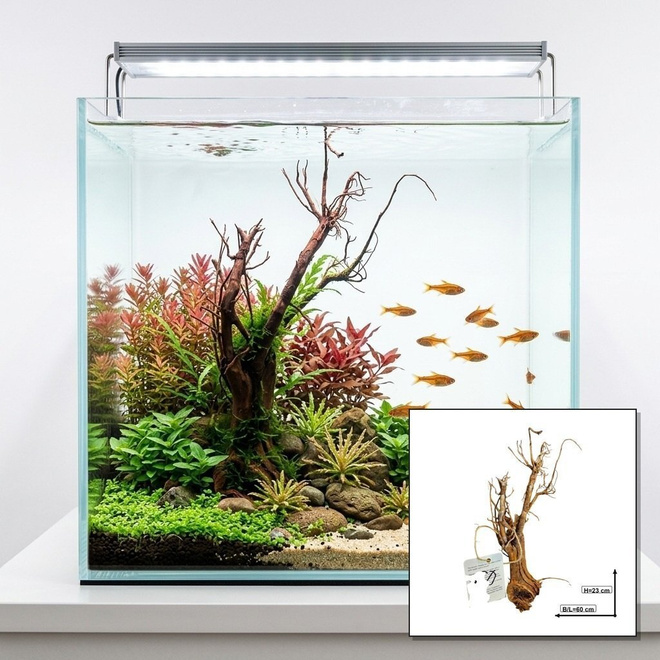 Uniikki akvaariojuurakko 60 cm | nr60