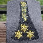 SA - Kankainen tunnus. Koko - 68*53 mm. - pikkukuva 5