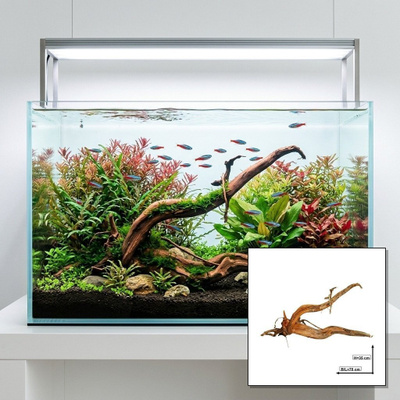 Uniikki akvaariojuurakko 70 cm | nr38C