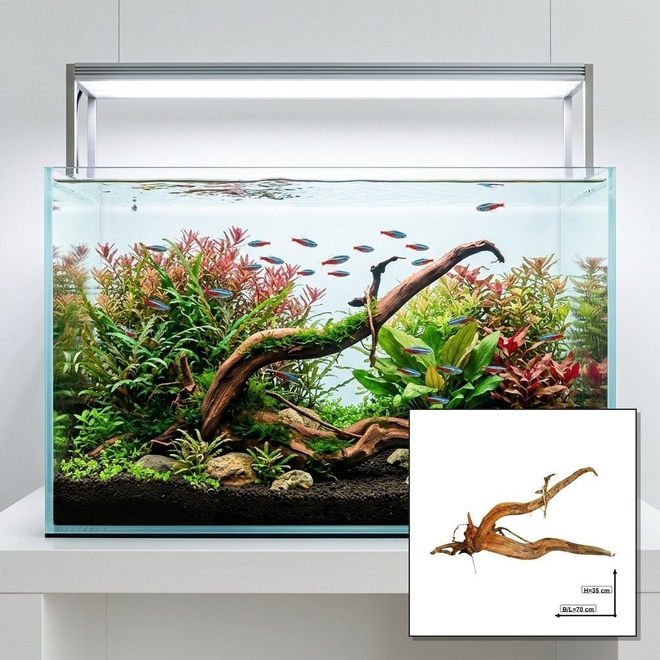 Uniikki akvaariojuurakko 70 cm | nr38C