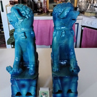 Foo-koira pari , k,35cm (Shi-leijonat) - pikkukuva 4