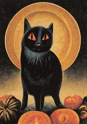 Halloween musta kissa ja täysikuu