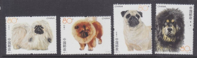 Kiina Cina 006 Dog Breeds