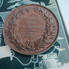Vuosien 1863-1864 valtiopäivien muistomitalli - pikkukuva 2
