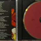 Ismo Alanko Säätiö • Sisäinen Solarium CD - pikkukuva 2
