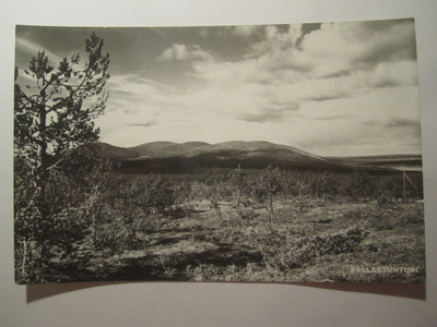 Postikortti Lappi Pallastunturi 1950-l  Alkup.Mallikappale