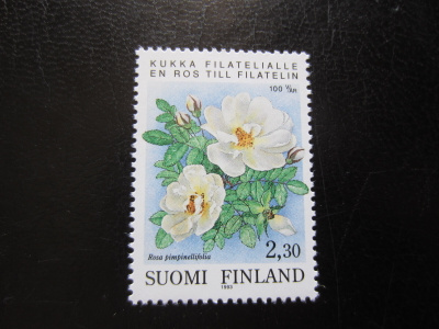 1993 Järjestäytynyt filatelia 100 vuotta Suomessa **
