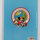 Walt Disney : Pelastakaa pussikarhut! : operaatio Austral... - pikkukuva 2