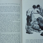 Jules Verne: Den hemlighetsfulla ön (Saga 80) - pikkukuva 2