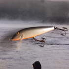 Rapala CD-7 Finland Spec. - pikkukuva 2
