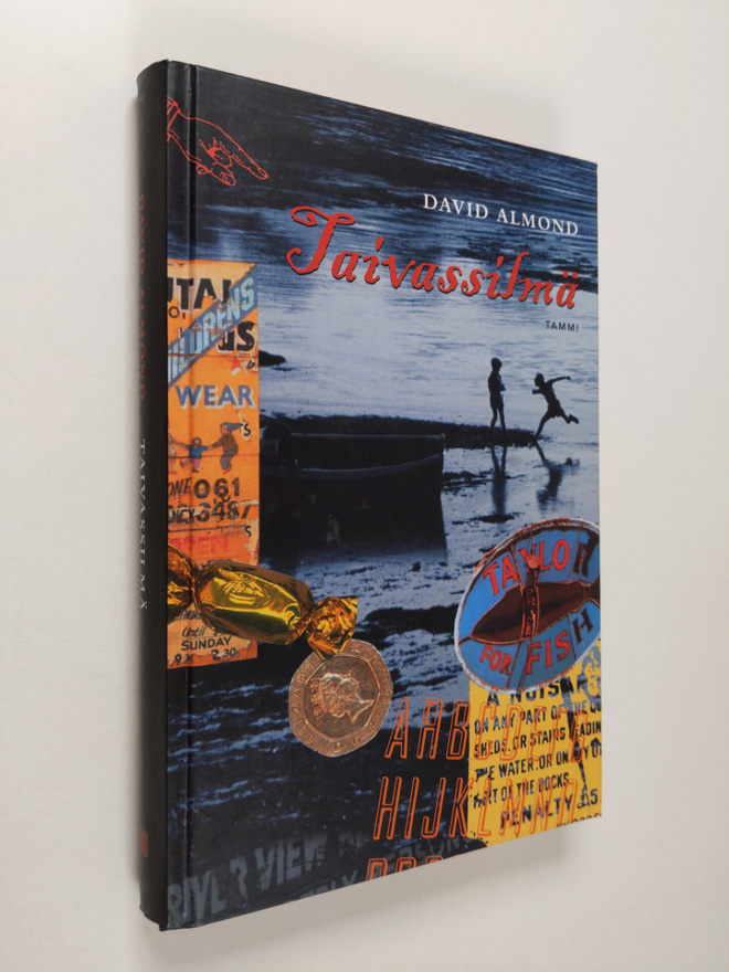 David Almond : Taivassilmä