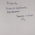 Esa Seppänen : Itäsuhteiden kolmiodraama : Kekkonen-Brezn... - pikkukuva 3