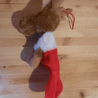 Hirvi joulusukka metsästäjälle - pikkukuva 4