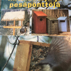 RAKENNAMME LINTULAUTOJA JA PESÄPÖNTTÖJÄ - pikkukuva 1